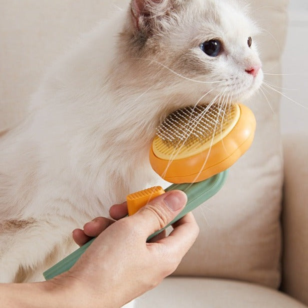 Pet Brush in use